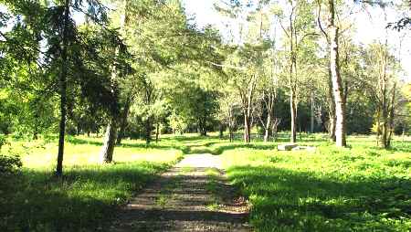 Amara dendrological park